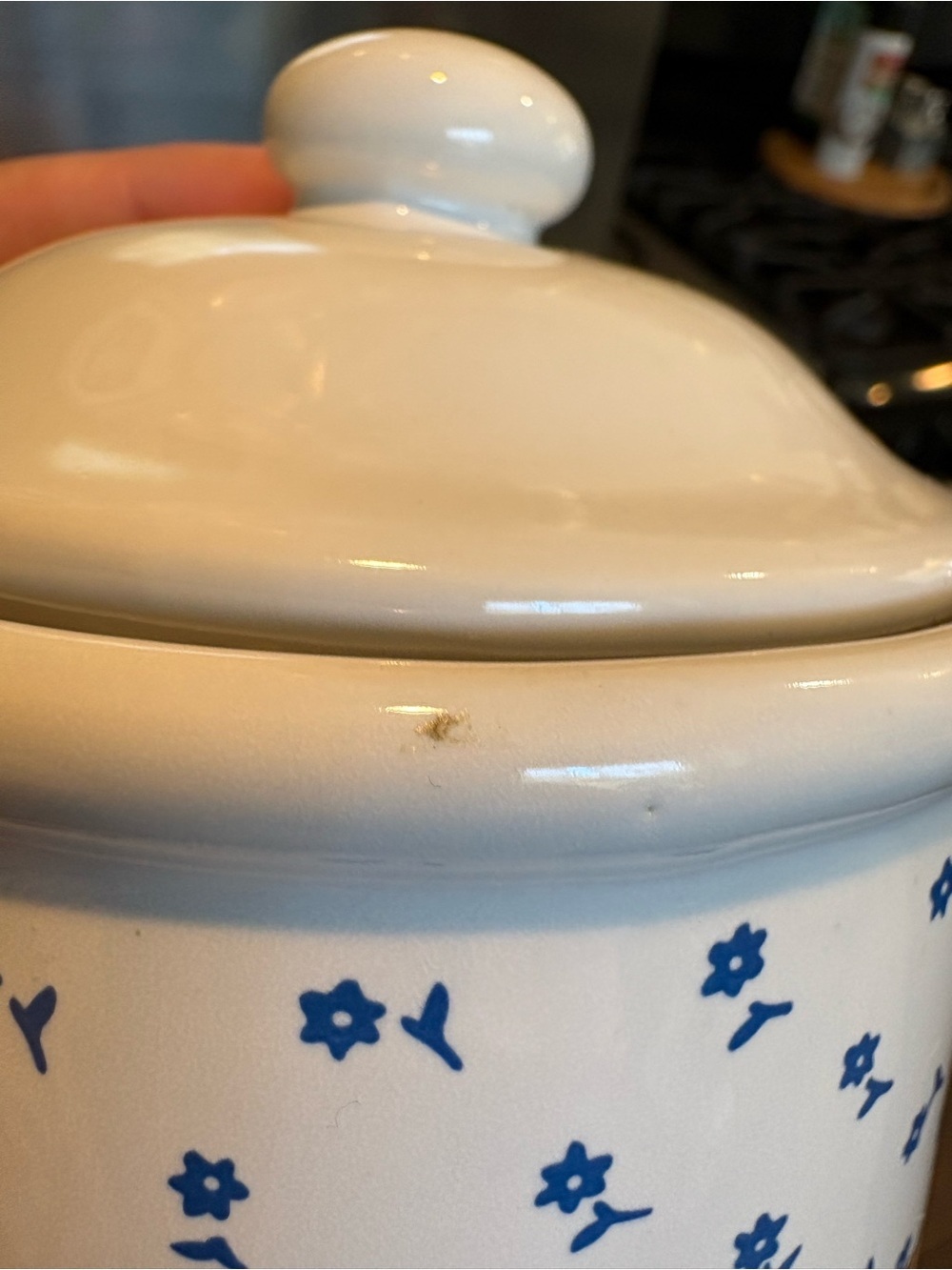 Vintage 80’s Blue Ribbon Country Geese Small Ceramic Canister 7”x5” w/ Lid EUC - Picture 12 of 16
